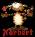 norbert_ggs1.gif